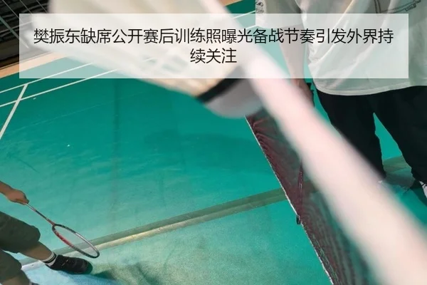 樊振东缺席公开赛后训练照曝光备战节奏引发外界持续关注