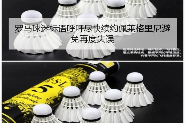 罗马球迷标语呼吁尽快续约佩莱格里尼避免再度失误